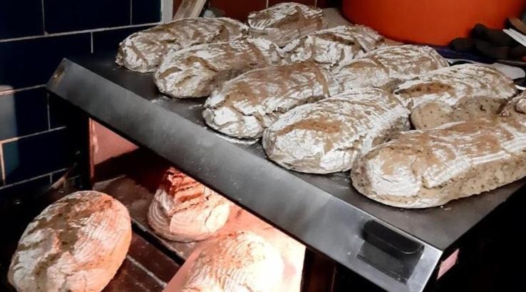 Panoramapension Platzer Unterkolbnitz Kültér fotó