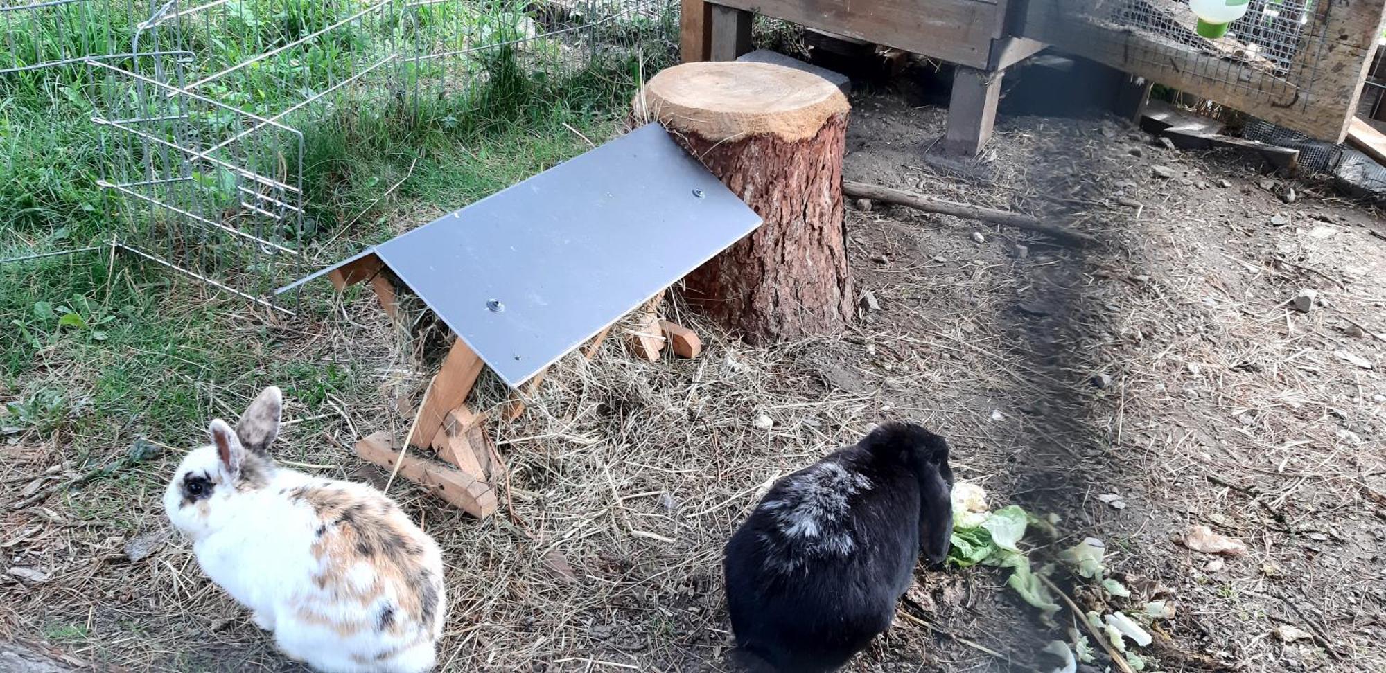 Panoramapension Platzer Unterkolbnitz Kültér fotó